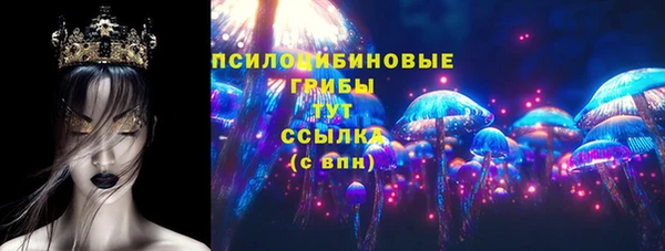 индика Арсеньев