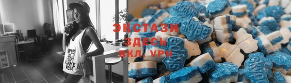 индика Арсеньев