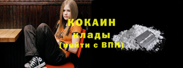 ПСИЛОЦИБИНОВЫЕ ГРИБЫ Балабаново