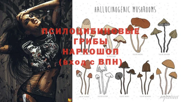 ПСИЛОЦИБИНОВЫЕ ГРИБЫ Балабаново