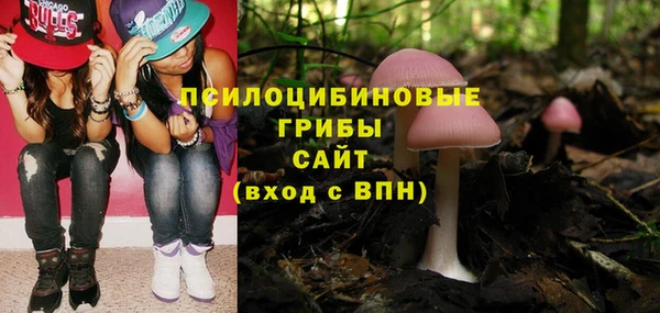 индика Арсеньев
