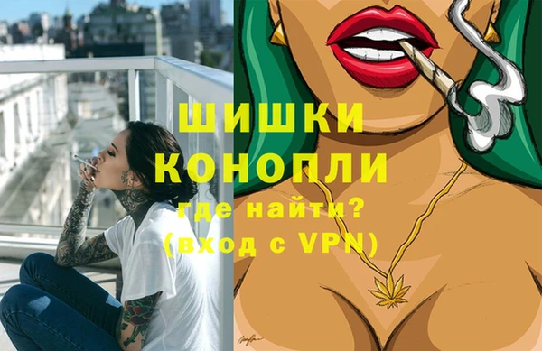 индика Арсеньев