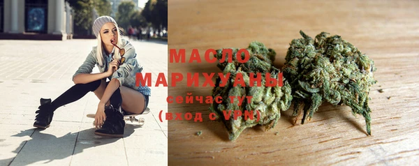 индика Арсеньев