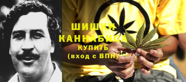 индика Арсеньев